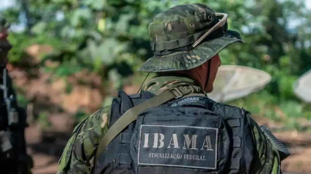 Concurso Ibama 2024: 260 vagas autorizadas com salário de R$ 8,8 mil