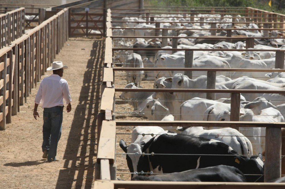 Agropecuária e Indústria de Transformação lideram geração de emprego em abril na Bahia