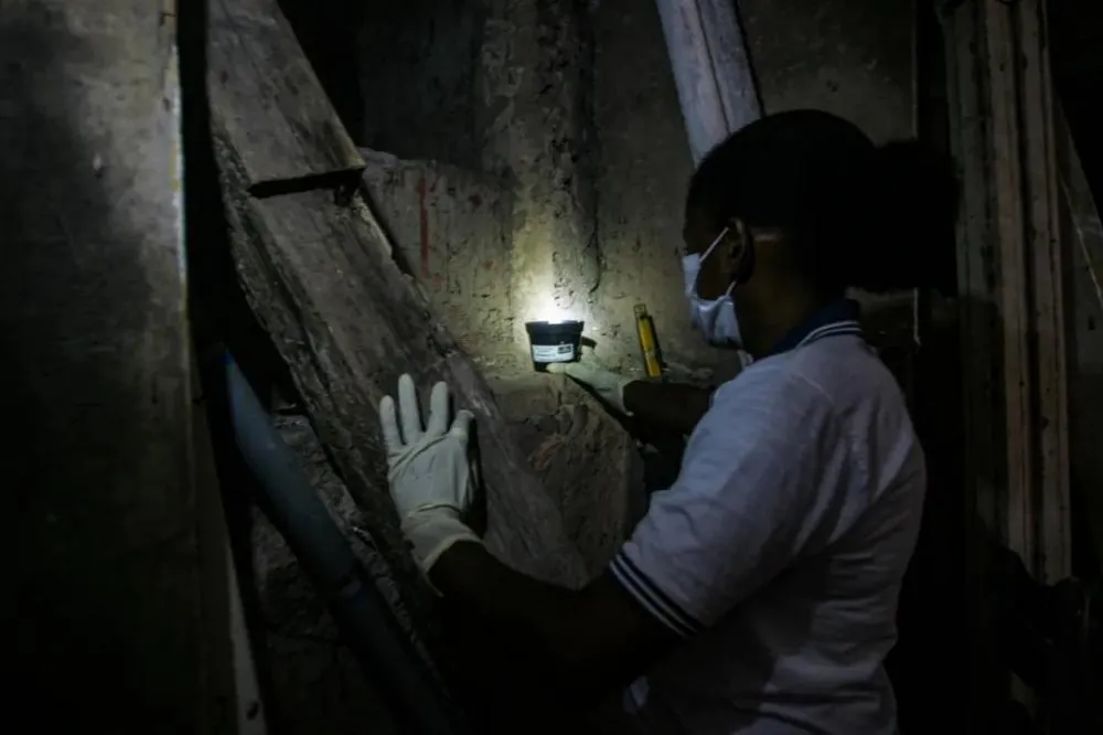 Salvador: Pote que engana mosquito é nova solução contra dengue