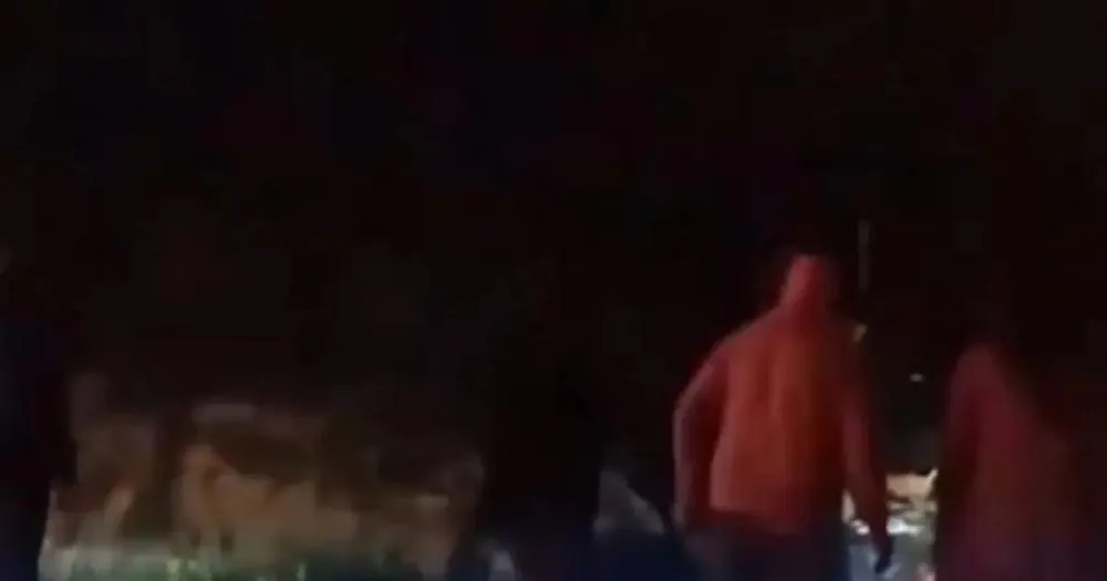 Na Bahia, acidente com animal na pista causa mais uma morte em fim de semana