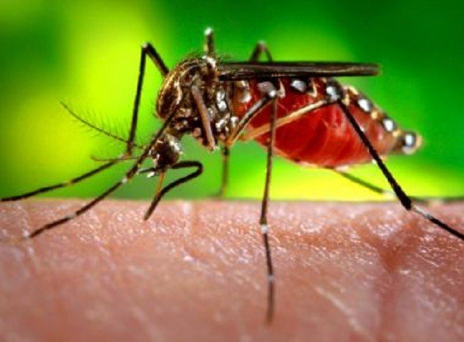Casos suspeitos de dengue na Bahia crescem 460% nos cinco primeiros meses de 2019