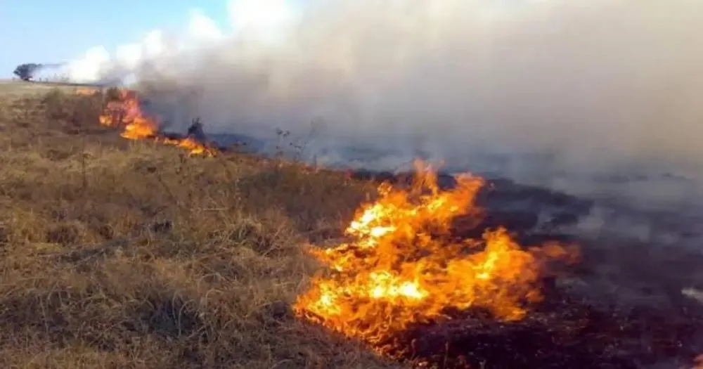 Governo Federal detecta onda de incêndios criminosos e aciona Polícia Federal
