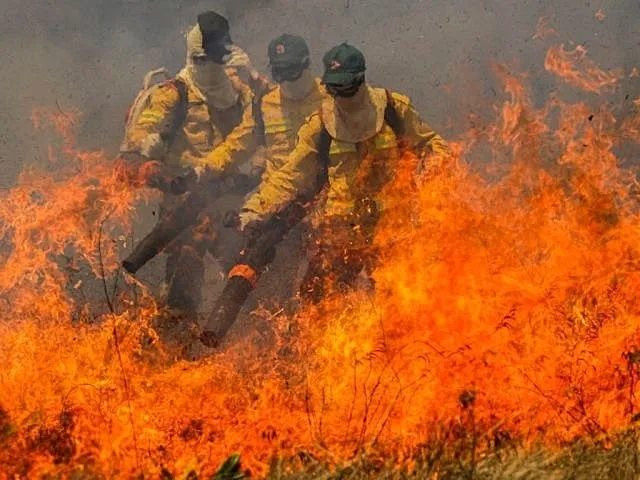 Iniciativas do governo federal para reverter devastação do Cerrado são insuficientes