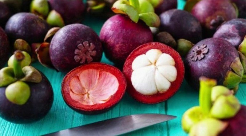 Jovens cientistas desenvolvem método de combate a diabetes com casca de fruta
