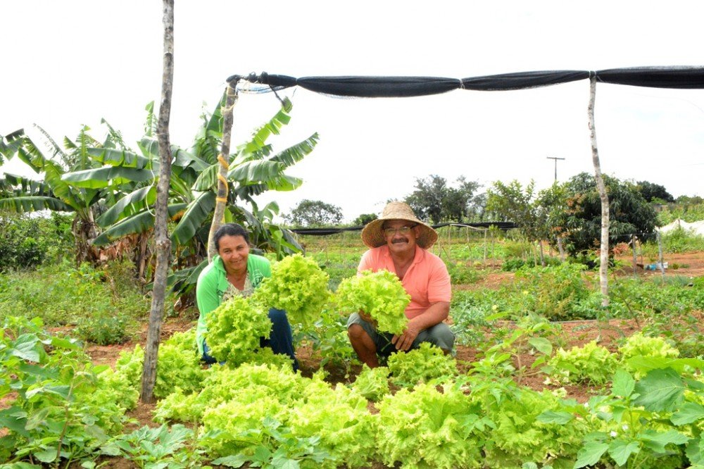 1a Feira de Agricultura Familiar (dia 25)