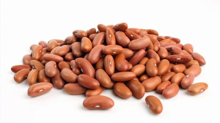 Comunidades quilombolas recebem sementes de feijão