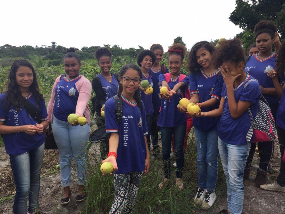 Estudantes têm aula de campo sobre Agricultura Familiar e aprendem sobre a importância de produtos orgânicos
