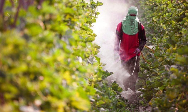 Novo ataque a direitos trabalhistas deve elevar problemas no campo