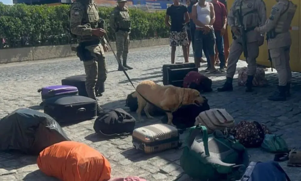 Na Bahia, mulheres são presas suspeitas de transportar drogas em ônibus