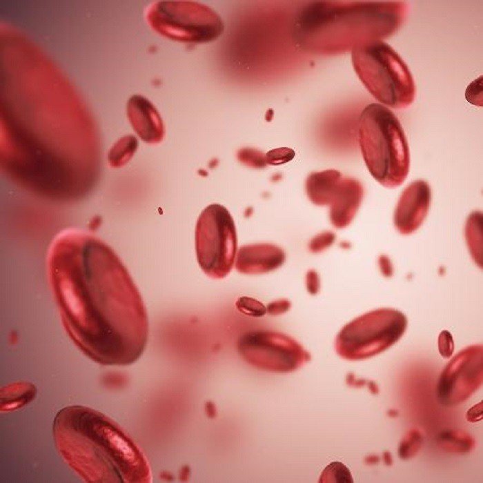 Cientistas encontram relação entre anemia e aumento no risco de demência