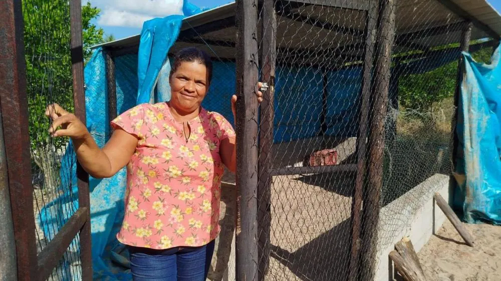 Parceria entre Prefeitura de Alagoinhas e consórcio impulsiona avicultura familiar