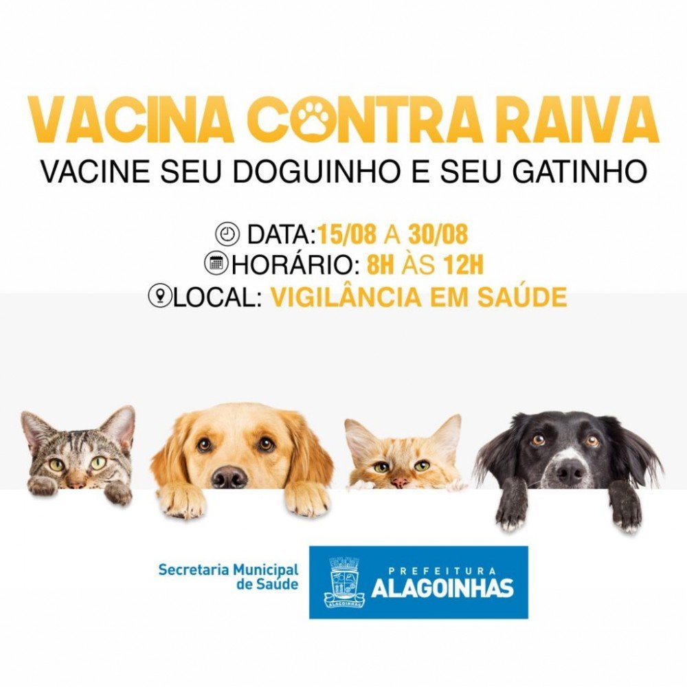 Prefeitura intensifica ação de vacinação antirrábica para cães e gatos