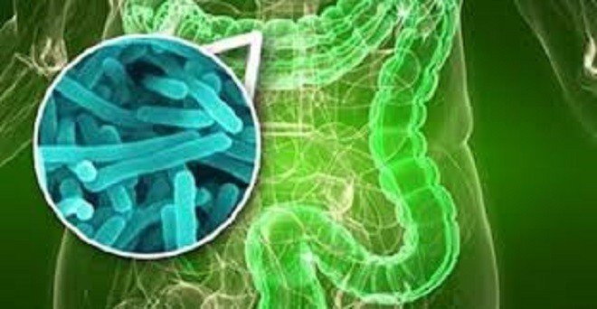 Ansiedade: o que as bactérias do intestino têm a ver com o transtorno
