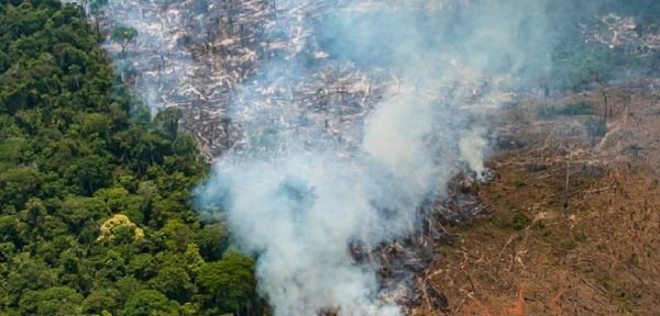 A soberania queima junto com a Amazônia e a venda da Petrobras