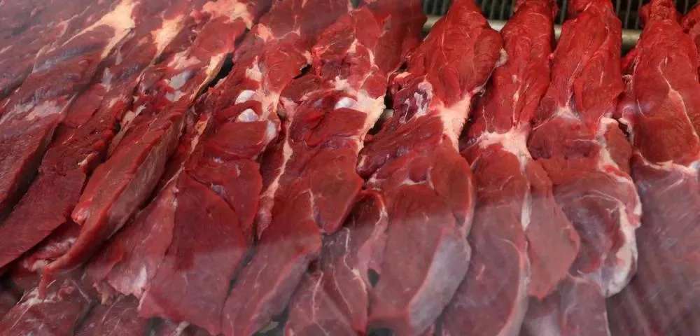 Japão envia especialistas ao Brasil e dá primeiro passo para reabrir mercado à carne bovina brasileira