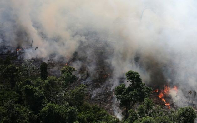 Quais os impactos dos incêndios na Amazônia no restante do Brasil