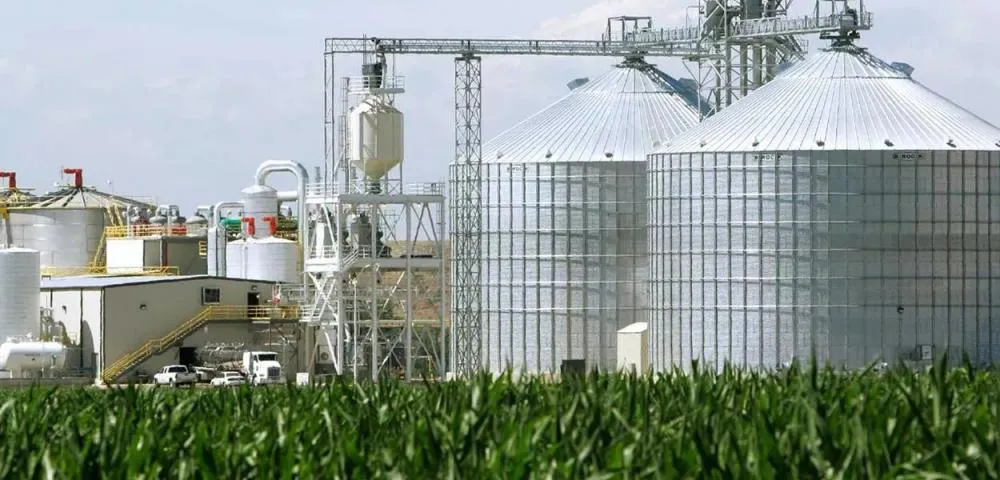 Tarifaço de Trump sobre etanol gera alerta no Brasil e Senado aprova medidas de reação