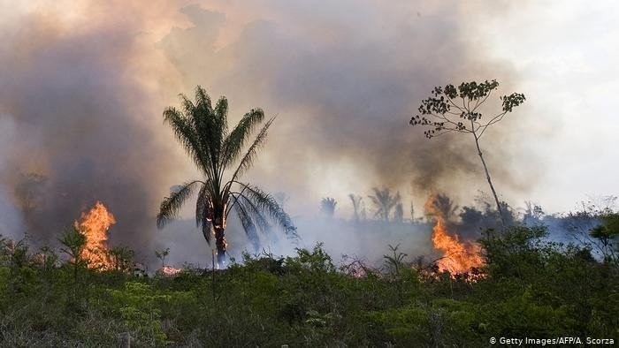 Políticos alemães exigem sanções contra Brasil para conter desmatamento
