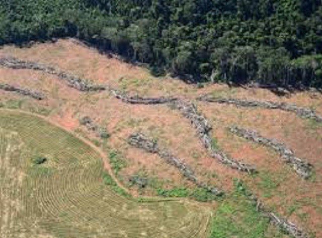 Sob Bolsonaro, ritmo de assentamento na reforma agrária perde força