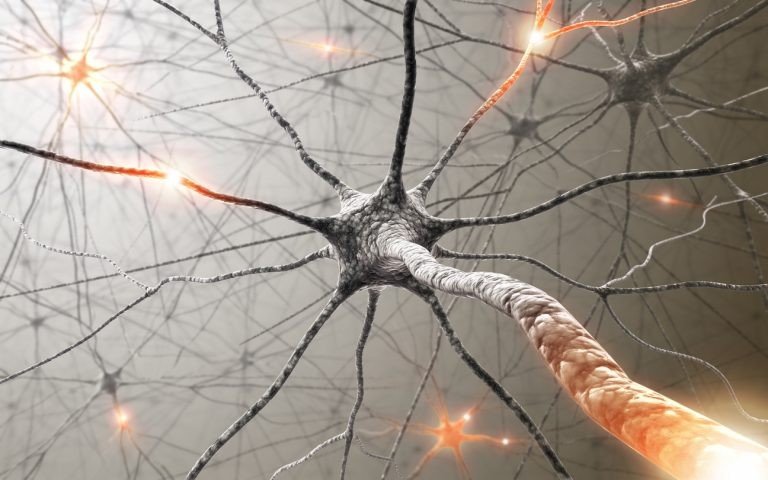 Hábitos geniais que estimulam a função cognitiva