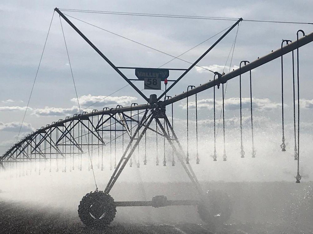 Drones auxiliam fiscalização da ADAB e detectam plantação ilegal no vazio sanitário da soja