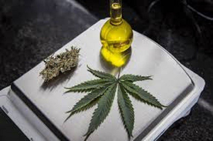 Médicos vão do rigor total a casos não previstos pelo CFM ao prescrever maconha