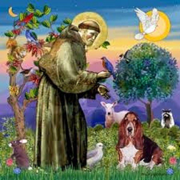 Por que São Francisco é o protetor dos animais?