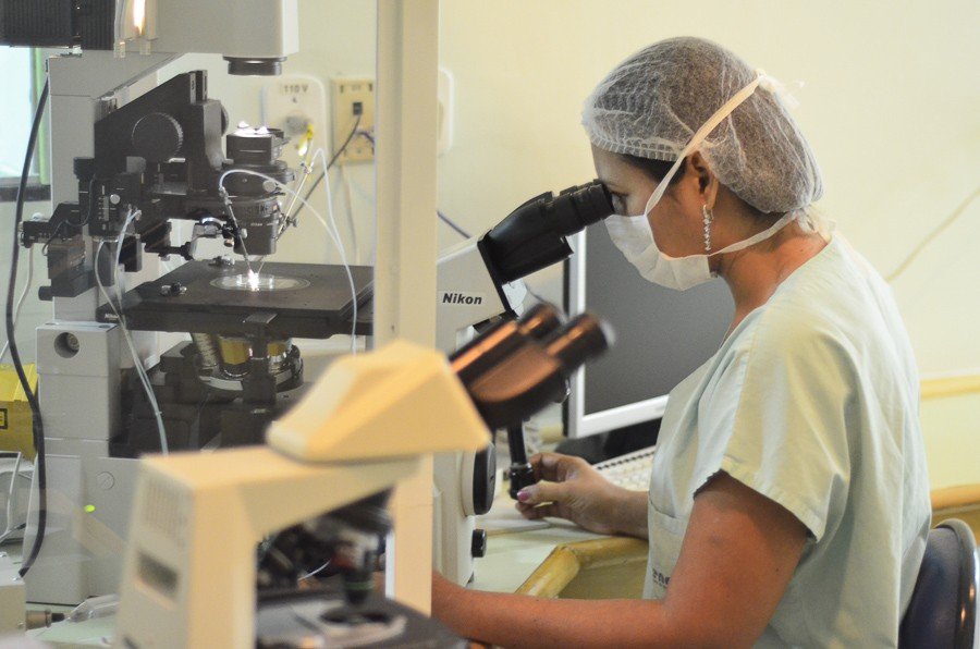 Congelamento de óvulos é indicado para preservar a fertilidade de mulheres que vão iniciar tratamento do câncer de mama