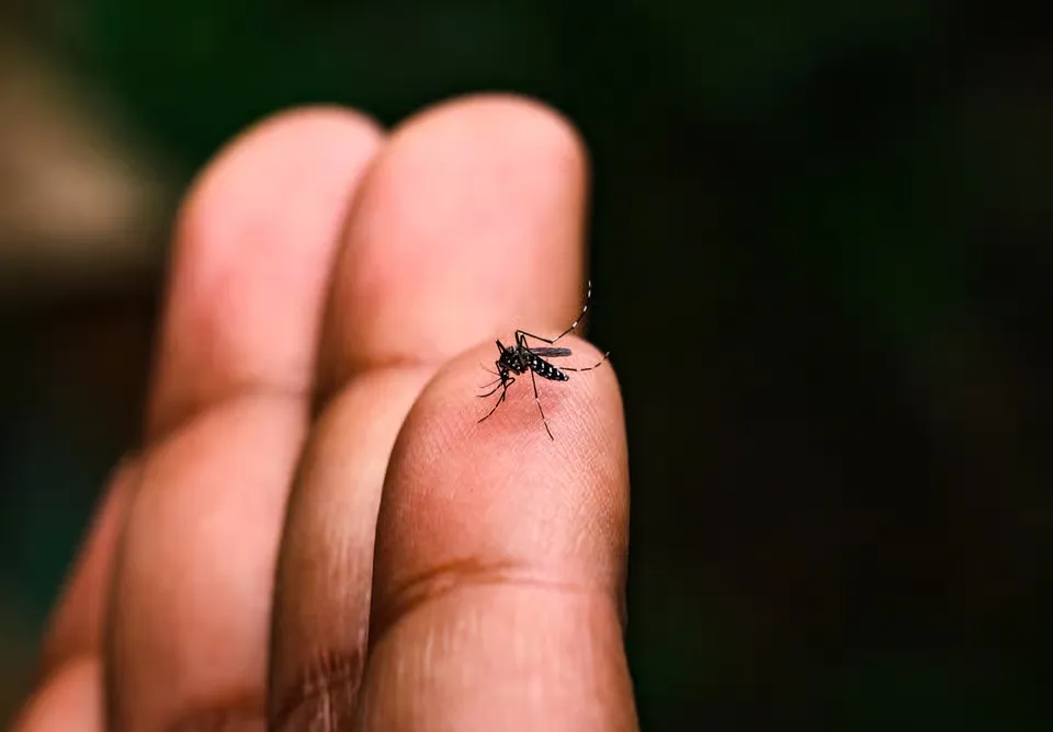 Soumyabrata Roy/istock