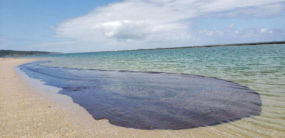 Marinha: mais de 600 toneladas de resíduos foram retiradas de praias nordestinas afetadas por óleo