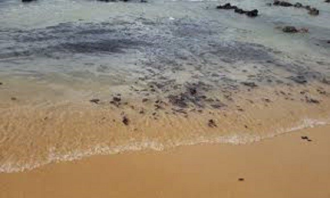 Bombeiros fazem nova limpeza e monitoramento de praias do Litoral Norte nesta quarta