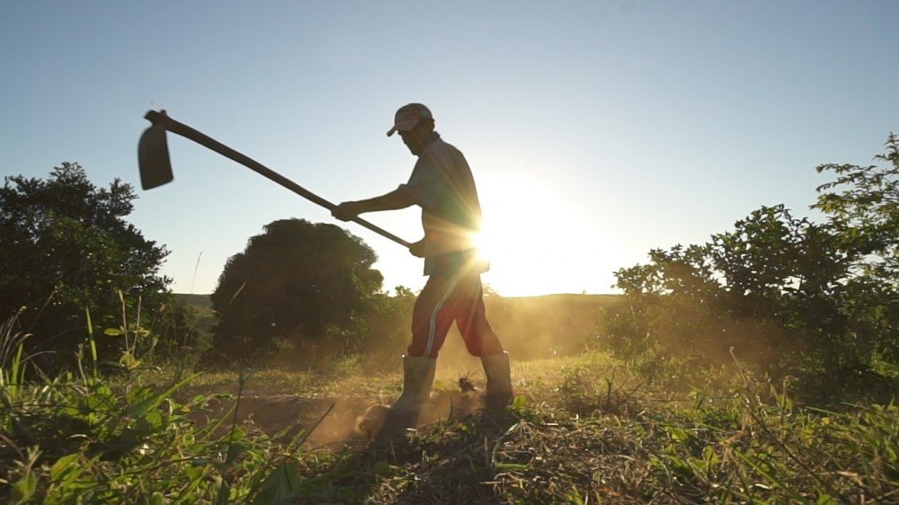 Governo realiza Cadastro Ambiental Rural gratuito no interior do Estado