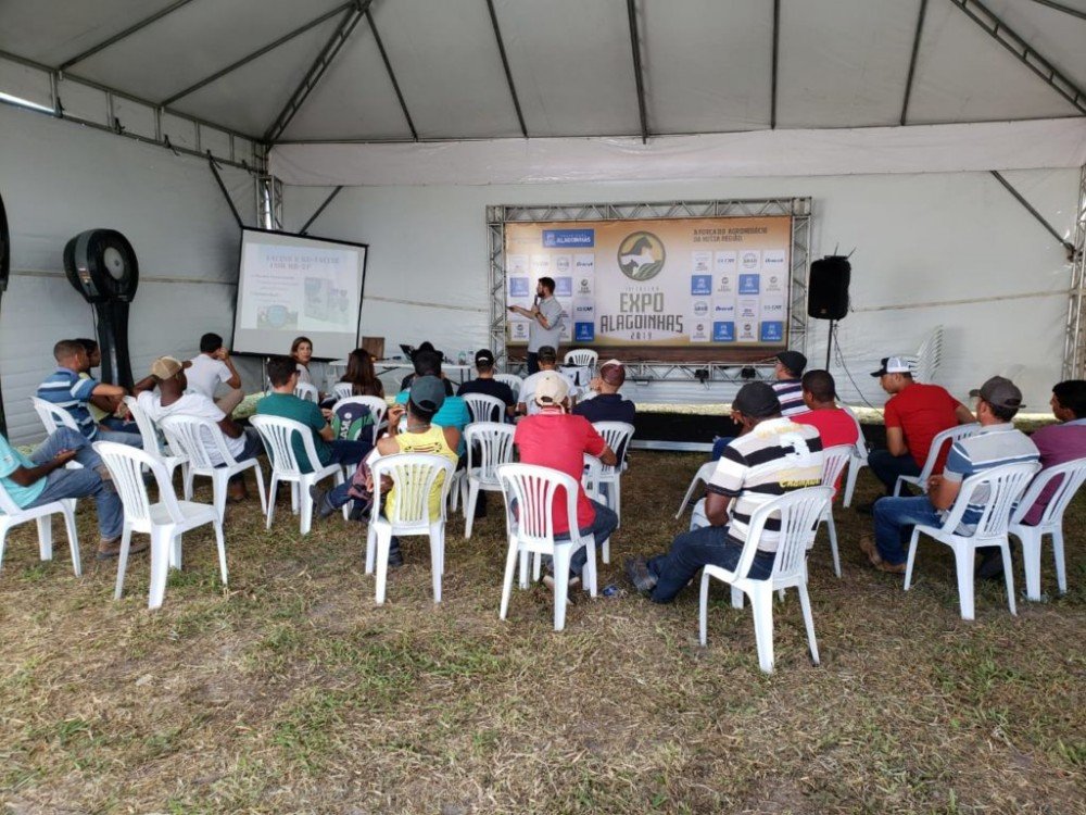 Expo Alagoinhas 2019 segue até domingo com shows, cursos, leilões e atrações para toda família