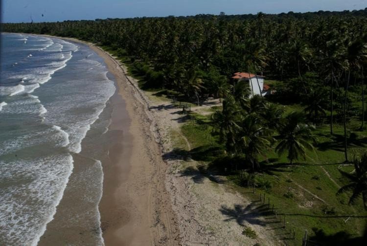 Exames não apontam contaminação provocada por óleo em praias da Bahia