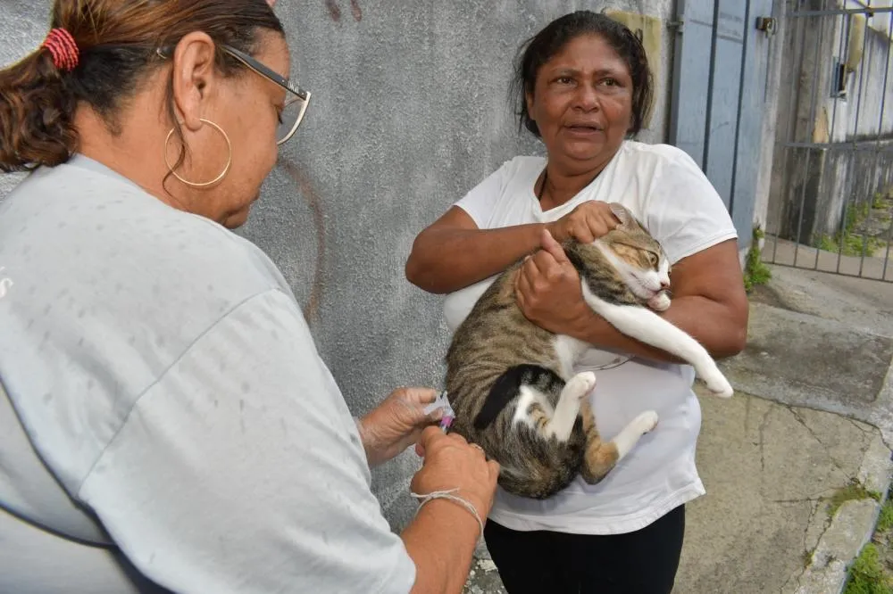 Campanha de Vacinação Antirrábica em Alagoinhas garante proteção de cães e gatos até o fim de setembro