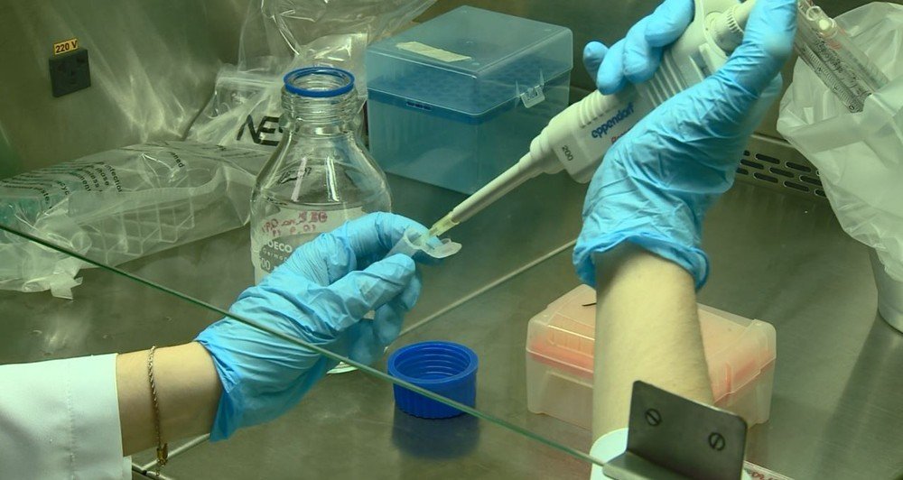 Pesquisa da Unicamp testa vírus da zika contra câncer de próstata e aponta redução de tumores