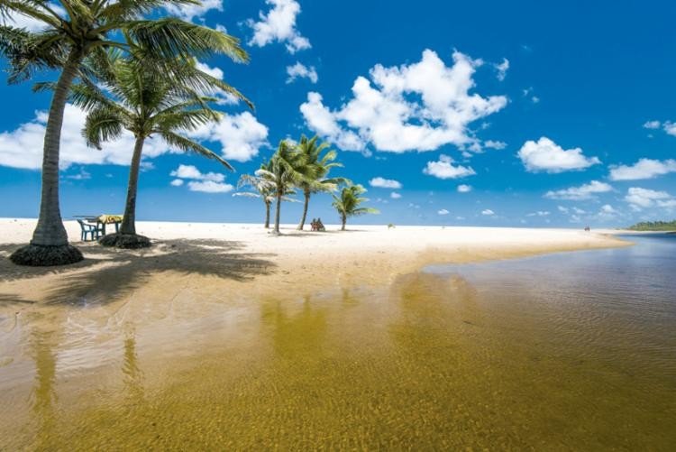 INEMA atesta ausência de derivados de petróleo nas praias de Mata de São João