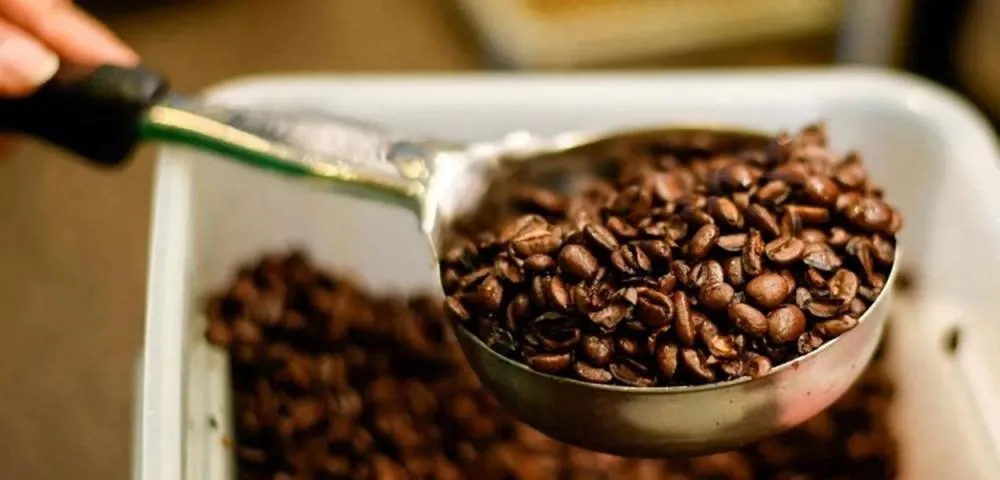 Preço do café despenca mais de 11% em uma semana no Brasil