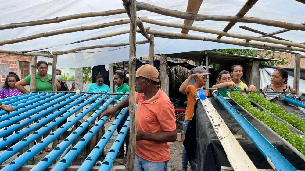 Oficinas Temáticas fortalecem o conhecimento e a prática dos agricultores familiares do nosso territorio