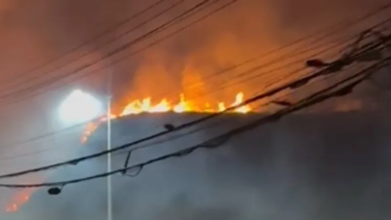 Incêndio atinge área de vegetação na Avenida Paralela, em Salvador, neste sábado (18)