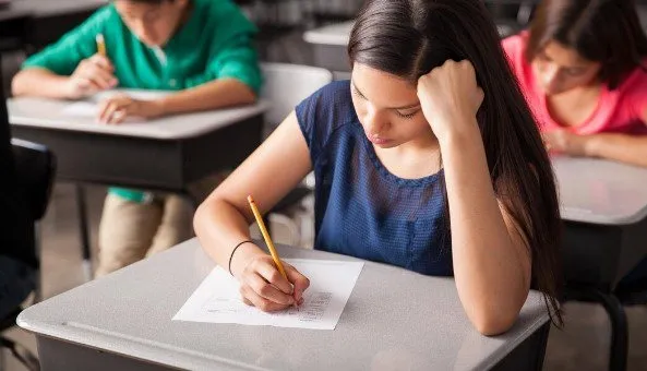 Divulgação / Freepik