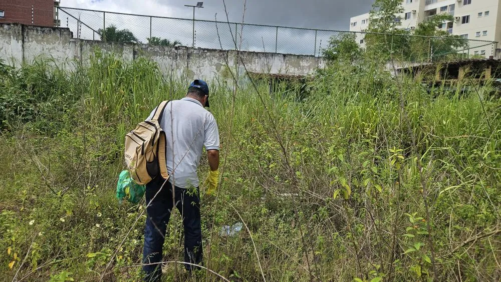 Combate à dengue: Prefeitura de Alagoinhas já notificou donos de 365 imóveis abandonados