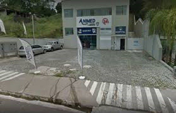 Clínica congelava animais mortos para continuar cobrando por internação