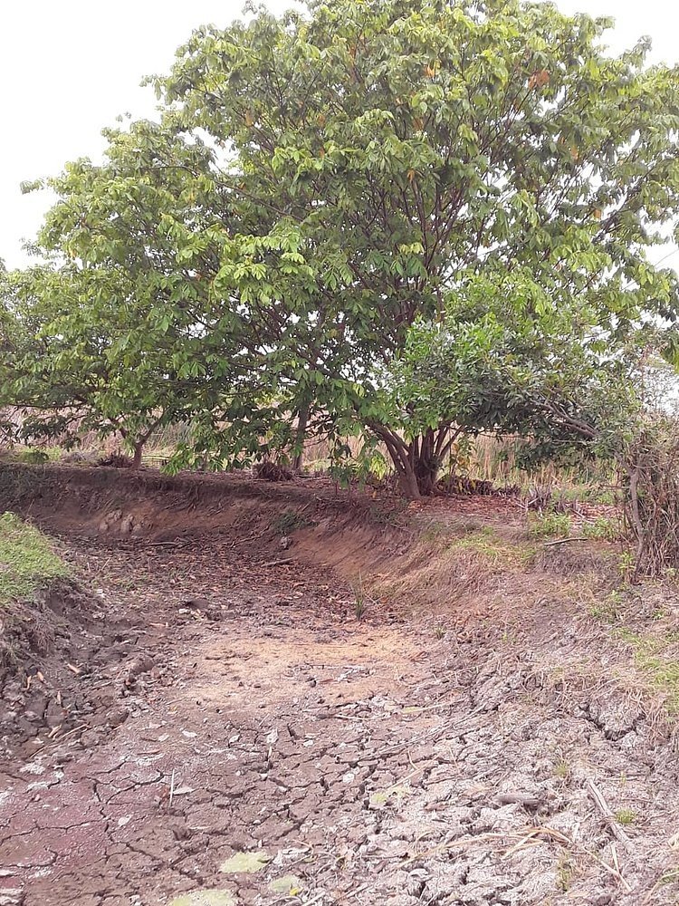 Disputa por água ameaça empregos e produção de alimentos na Chapada