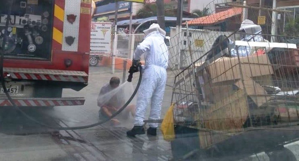 Policial leva mais de 100 picadas de abelhas enquanto salvava homem de ataque