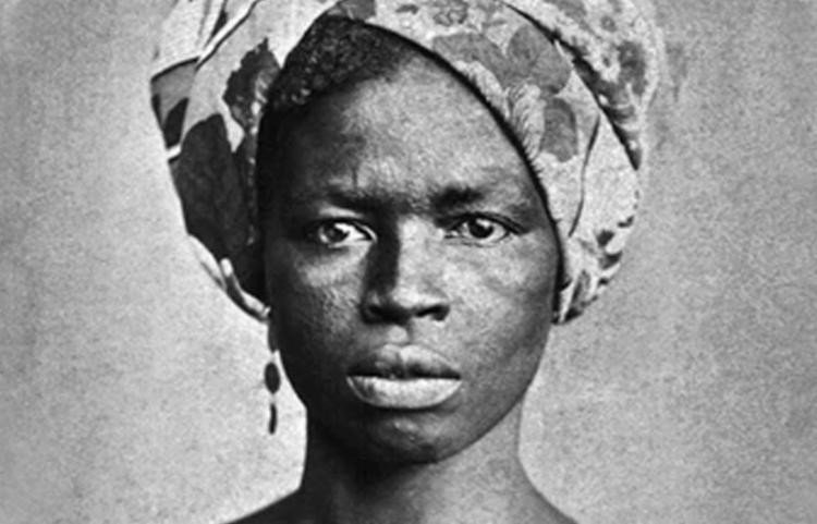 Armando Avena lança livro sobre heroína negra Luiza Mahin
