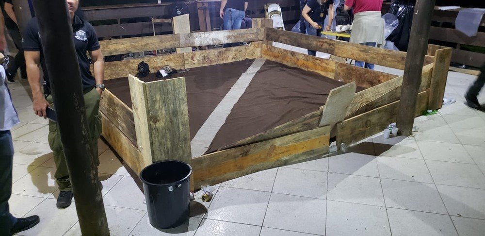 Policiais resgatam cães que participavam de rinhas