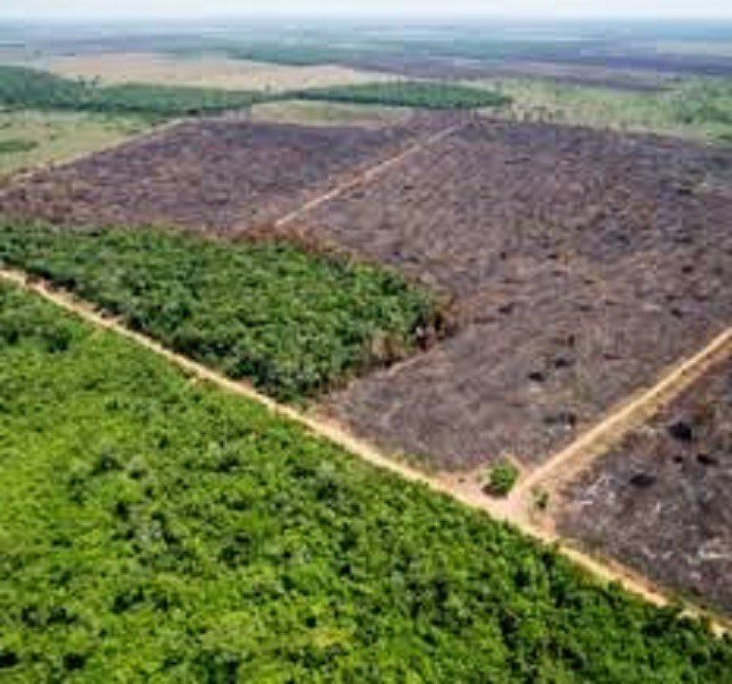Desmatamento na Amazônia cresceu 85,3% em 2019, diz Inpe
