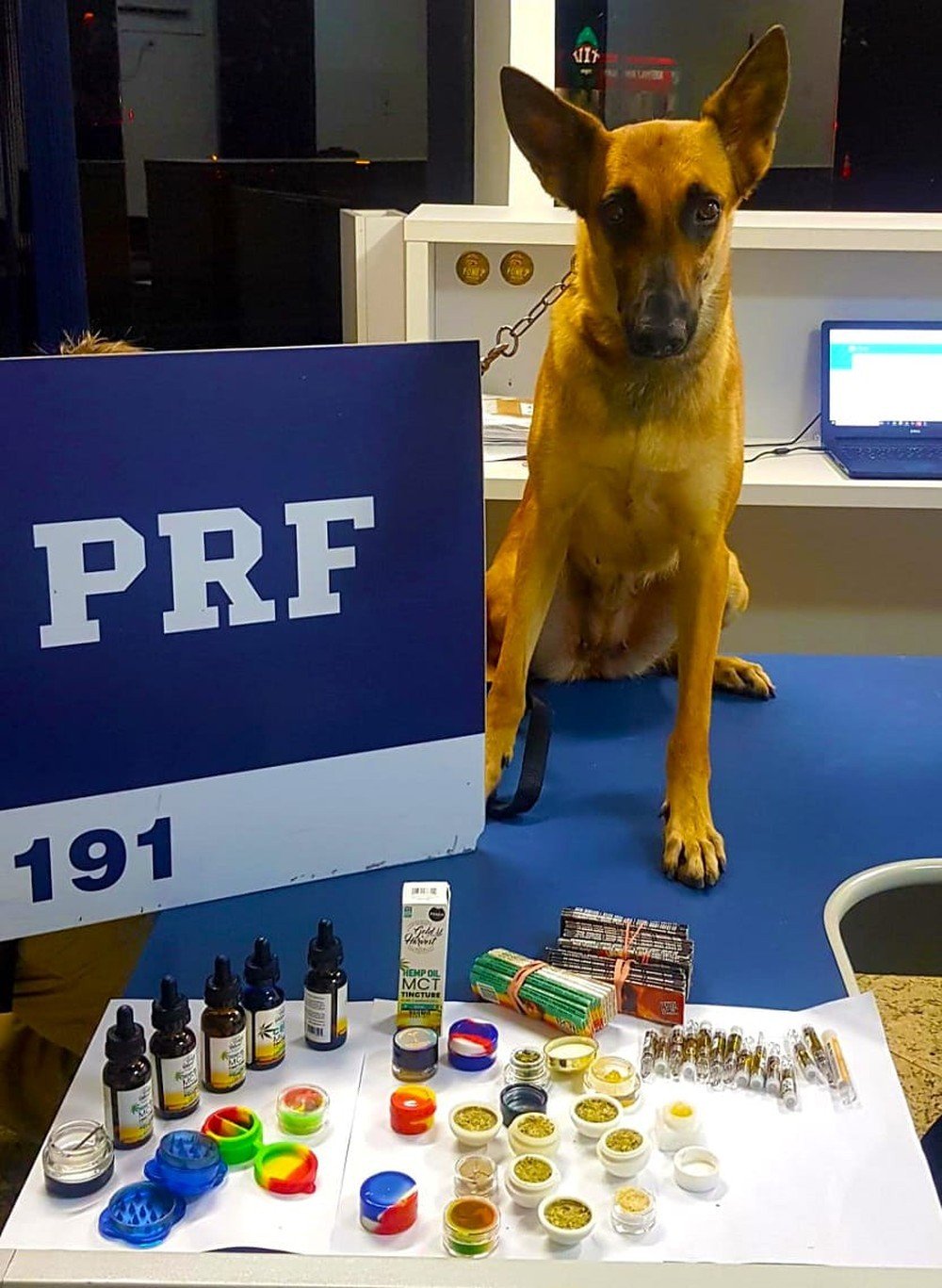 Relson Gracie (ex-lutador de jiu-jitsu e professor da arte marcial) é preso com drogas na bagagem