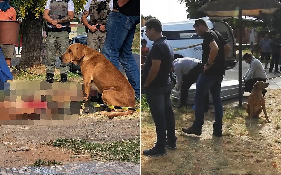 Após tentar salvar seu dono de assassinato, cão fica ao lado de corpo no RS